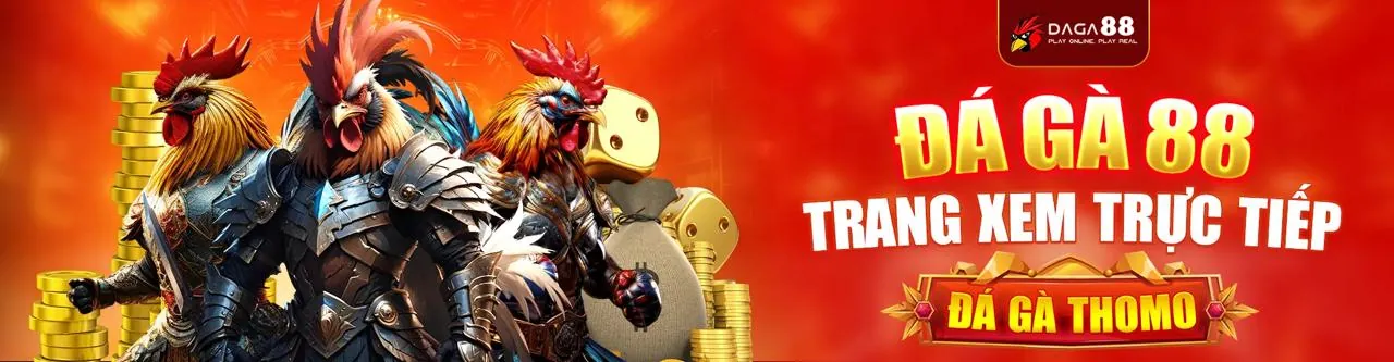Đá gà trực tiếp t88 link, trận đấu kịch tính